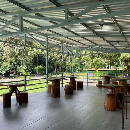 Yejos Jungle Lodge Dos Brazos Zewnętrze zdjęcie
