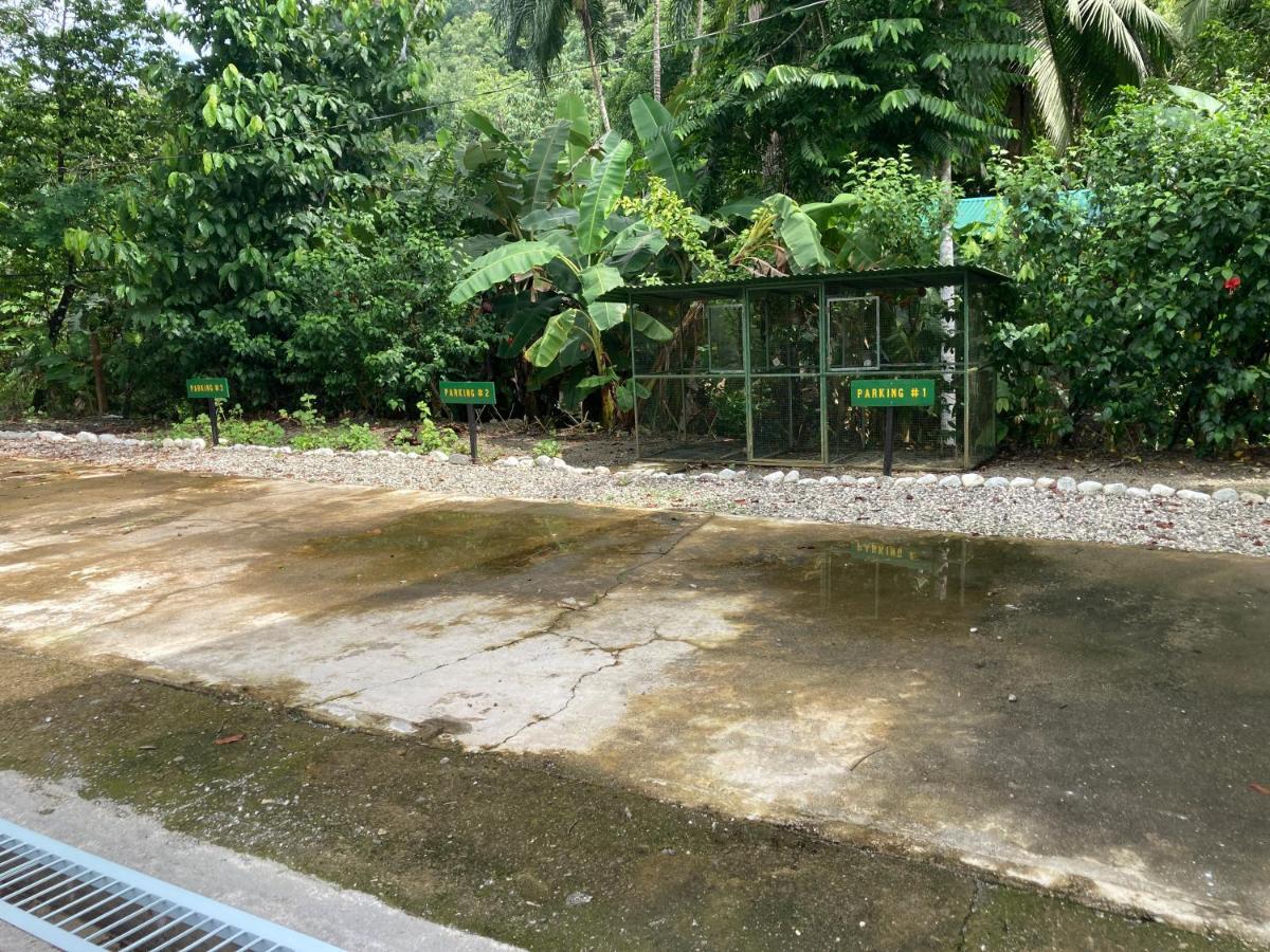 Yejos Jungle Lodge Dos Brazos Zewnętrze zdjęcie