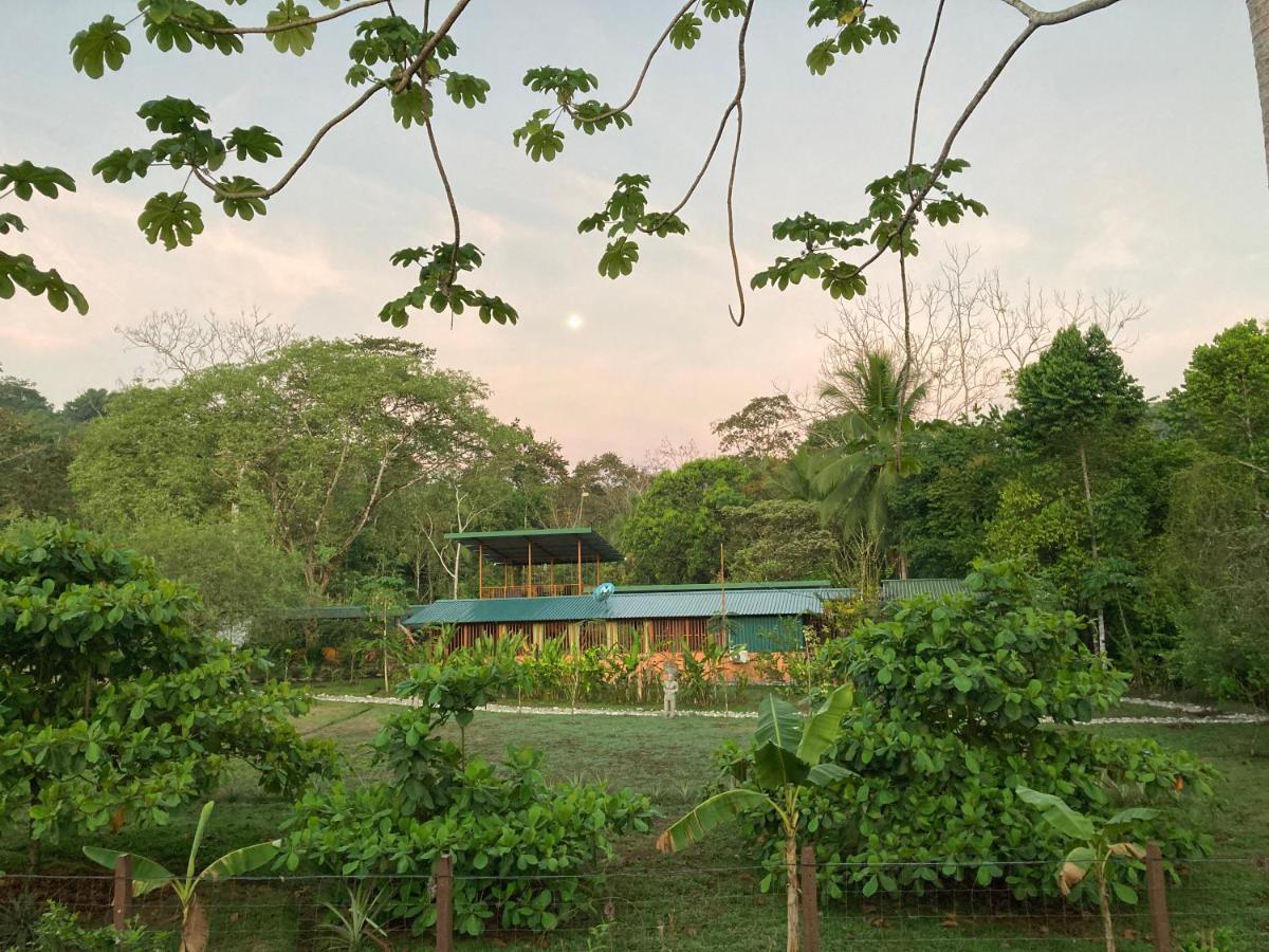 Yejos Jungle Lodge Dos Brazos Zewnętrze zdjęcie
