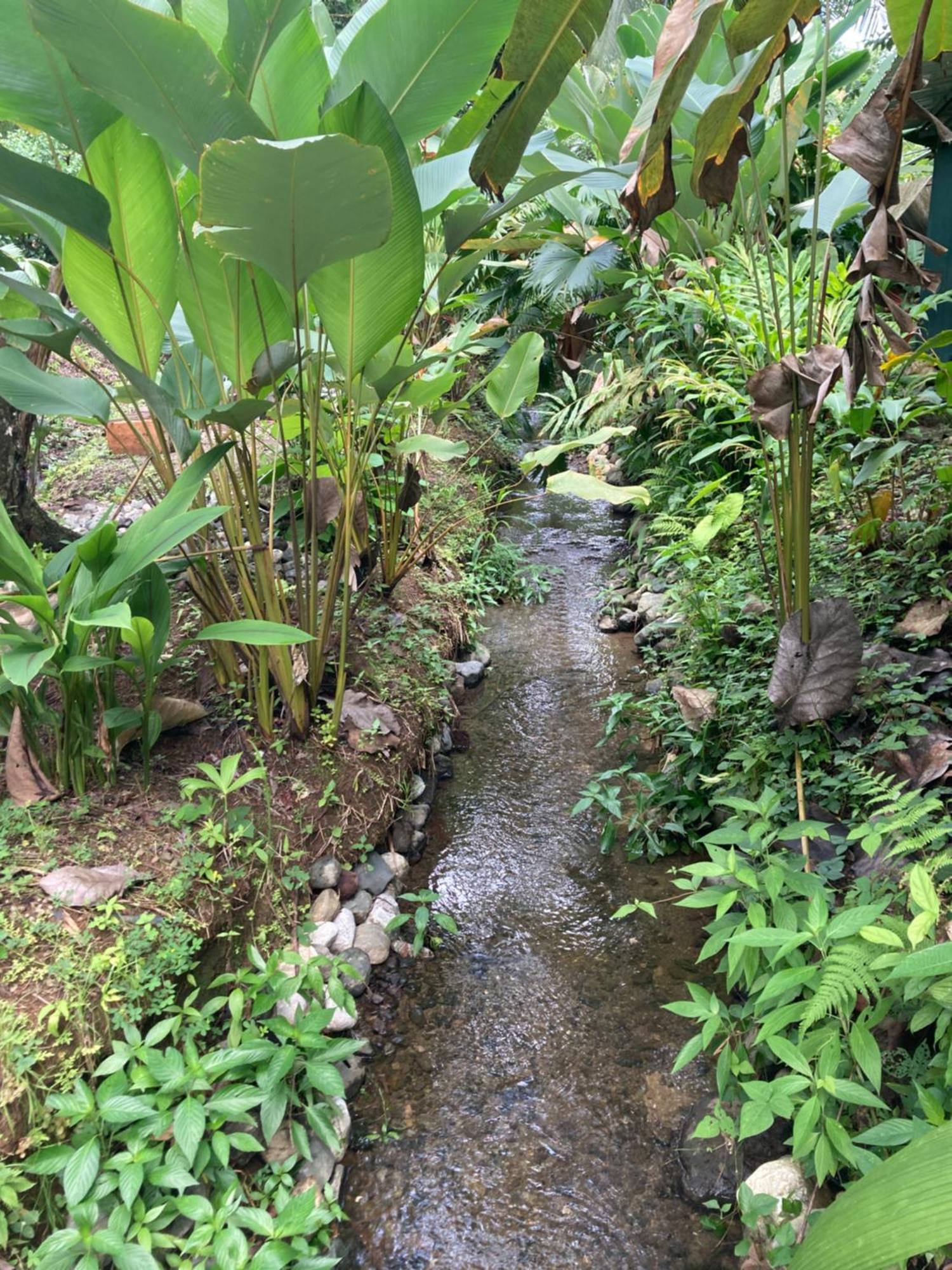 Yejos Jungle Lodge Dos Brazos Zewnętrze zdjęcie