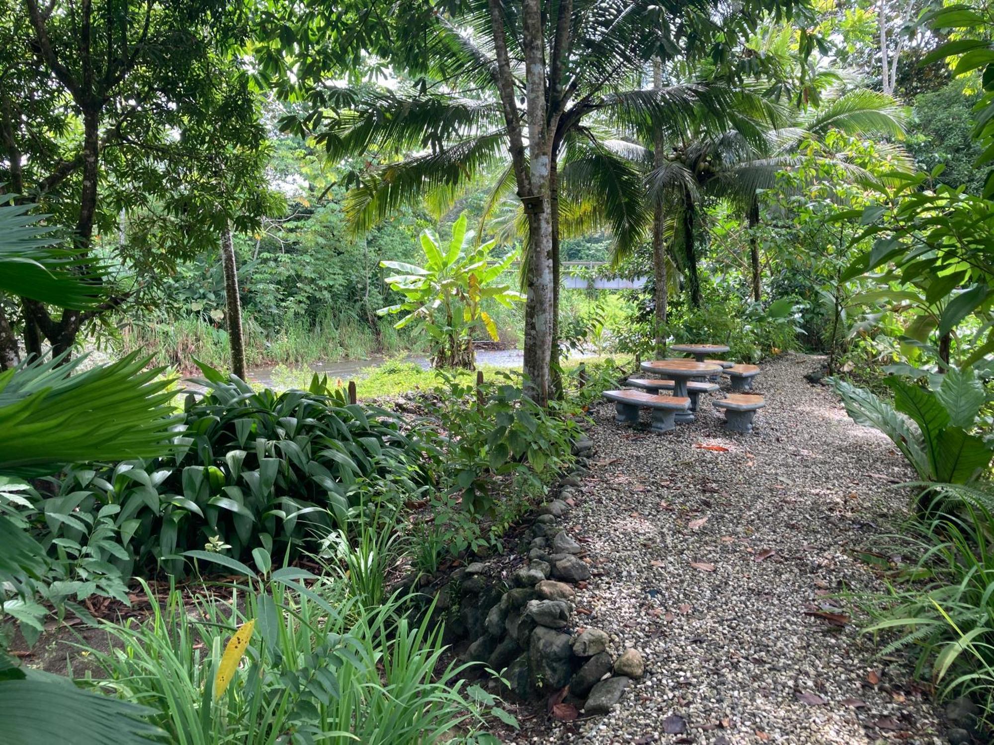 Yejos Jungle Lodge Dos Brazos Zewnętrze zdjęcie