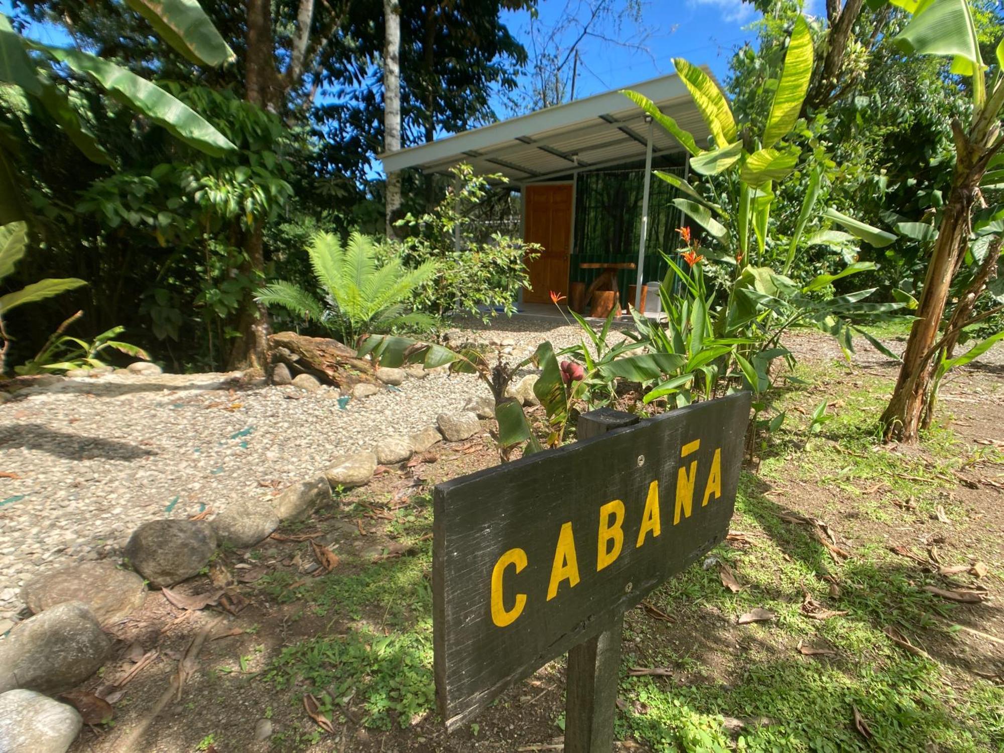Yejos Jungle Lodge Dos Brazos Zewnętrze zdjęcie